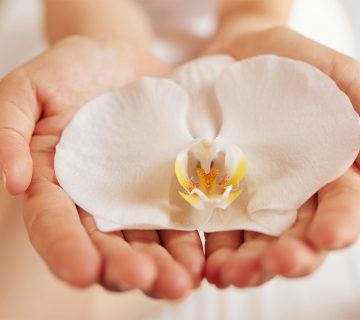 عمل لابیاپلاستی در شیراز