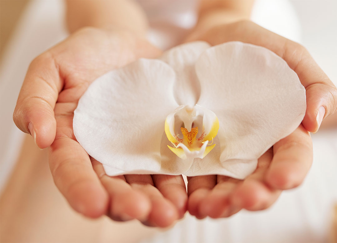 عمل لابیاپلاستی در شیراز